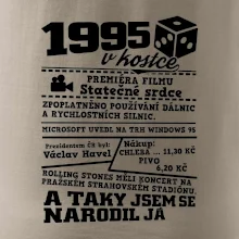 1995 v kostce
