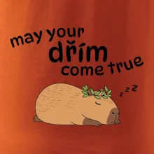 May your dřím come true