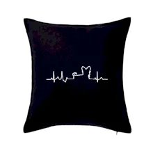 Jorkšírský teriér EKG