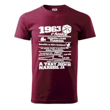 1963 v kostce