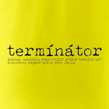 Čeština 2.0 - termínátor