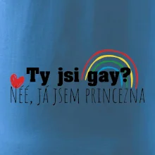 Gay princezna