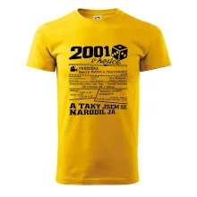 2001 v kostce