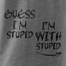 Guess iam stupid
