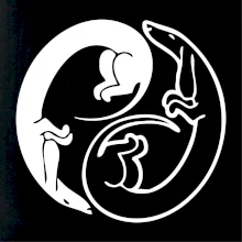 Jezevčíci - Jin jang