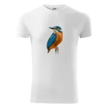 Lednáček kreslený