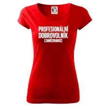 PROFESIONÁLNÍ DOBROVOLNÍK (zaměstnanec)