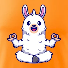 Yoga meditace - lama