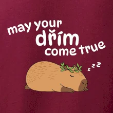 May your dřím come true