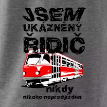 Jsem ukázněný řidič - tramvaj
