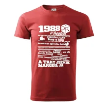 1988 v kostce
