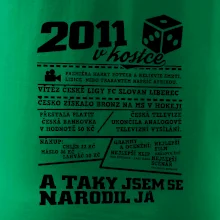 2011 v kostce
