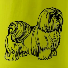 Shih-tzu - chlupatý Shih-tzu - chlupatý