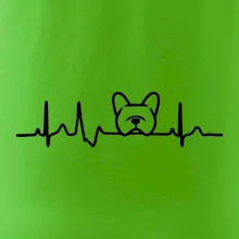 EKG Francouzský buldoček hlava