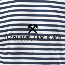 JÁ SEM HAVIŘ, A KDO JE VIĆ?!﻿