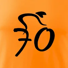 Cyklista slaví sedmdesátku (70)