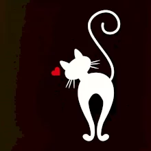 Zamilovaná kočka zezadu