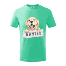 Zlatý retriever - štěně wanted