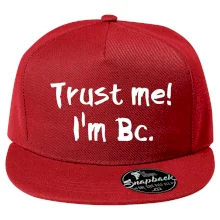 Trust me I´m  Bc. / Věř mi jsem Bc. Trust me I´m  Bc. / Věř mi jsem Bc.