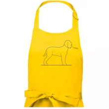 Lagotto romagnolo stojící