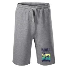 Hawaii Hawaii