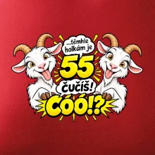 Těmhle holkám je 55, čučíš co?