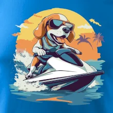 Bígl na vodním skútru