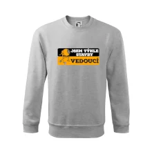 Jsem týhle stavby vedoucí