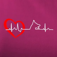 Německý ovčák ekg