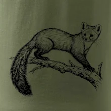 Zvířata Krkonoš – kuna lesní