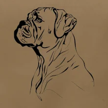 Boxer černá kresba