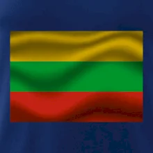 Litva vlajka obdélník