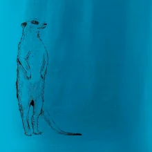 Surikata černá kresba