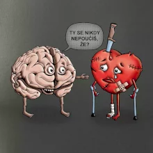 Mozek a srdce - poučení (Hana-creative)