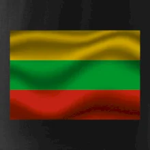 Litva vlajka obdélník