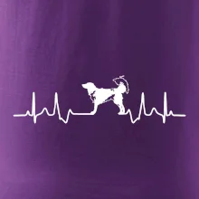 Český strakatý pes EKG