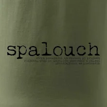 Čeština 2.0 - spalouch