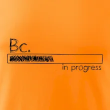 In progress  titul Bc. bakalář / bakalářka