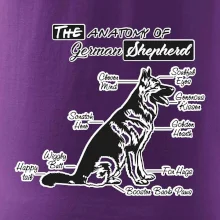 Německý ovčák - Anatomie