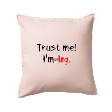 Trust me I´m an Ing. / Věř mi jsem Ing.