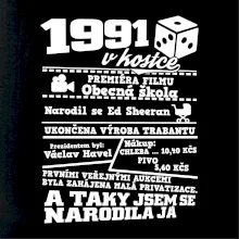 1991 v kostce