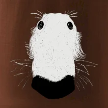 Barzoj čumák (Moňas)