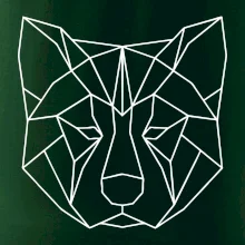 Akita Inu - Geometrie