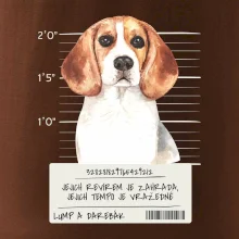 Lump a darebák bígl