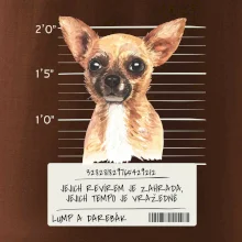 Lump a darebák čivava