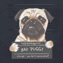Mops - Bad Puggy