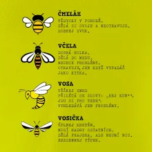 Encyklopedie včel vos a čmeláků Encyklopedie včel vos a čmeláků
