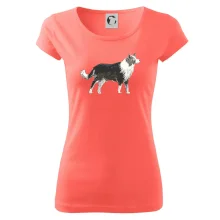 Border kolie kreslená