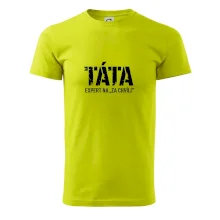 Táta - expert na za chvíli