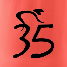 Cyklista slaví pětatřicítku (35)